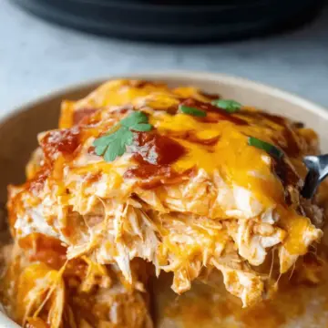 Crockpot Chicken Enchilada Casserole